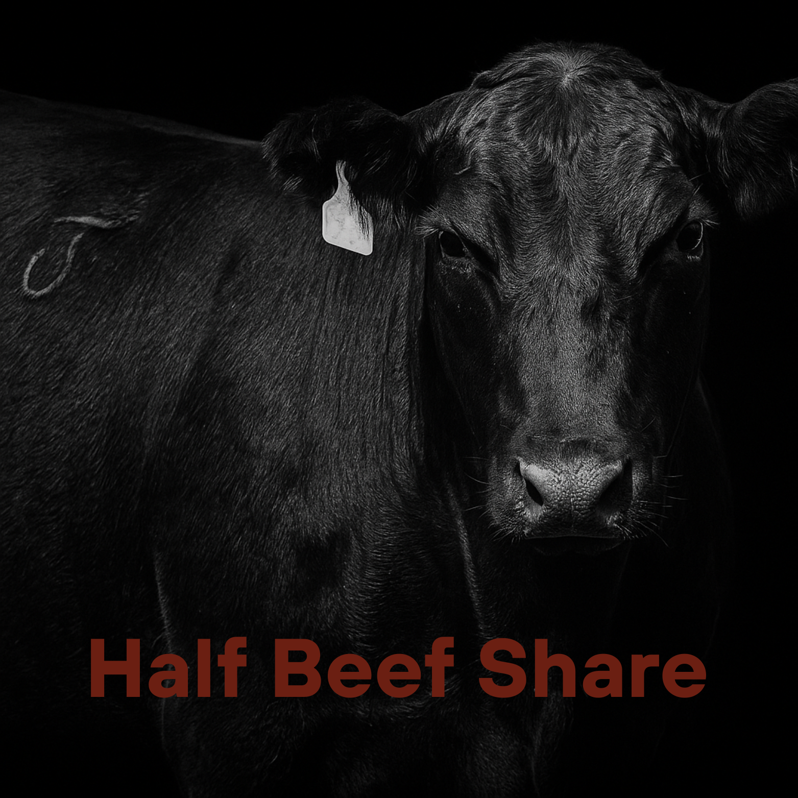 Half Beef Share